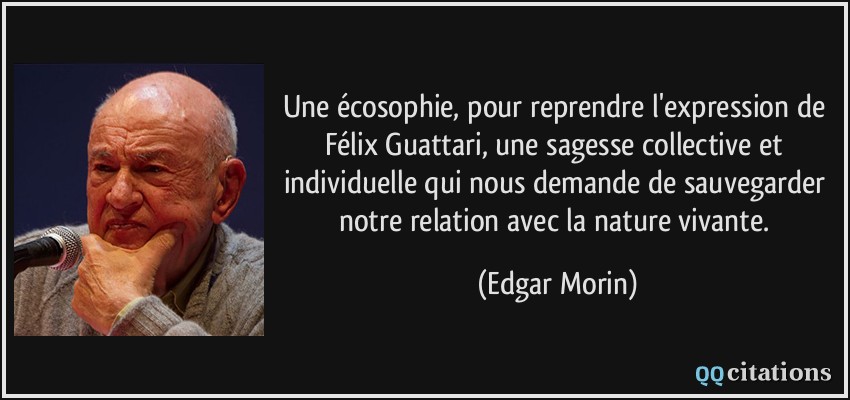 Une écosophie, pour reprendre l'expression de Félix Guattari, une sagesse collective et individuelle qui nous demande de sauvegarder notre relation avec la nature vivante.  - Edgar Morin