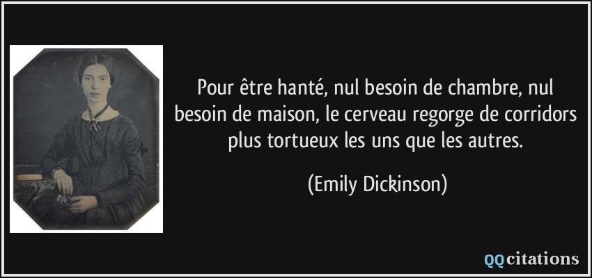 Afficher l'image d'origine