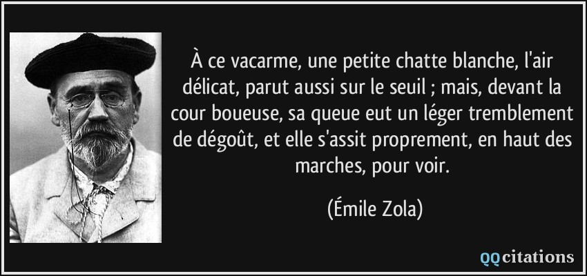À ce vacarme, une petite chatte blanche, l'air délicat, parut aussi sur le seuil ; mais, devant la cour boueuse, sa queue eut un léger tremblement de dégoût, et elle s'assit proprement, en haut des marches, pour voir.  - Émile Zola