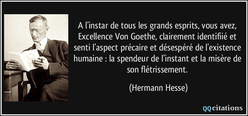A l'instar de tous les grands esprits, vous avez, Excellence Von Goethe, clairement identifiié et senti l'aspect précaire et désespéré de l'existence humaine : la spendeur de l'instant et la misère de son flétrissement.  - Hermann Hesse