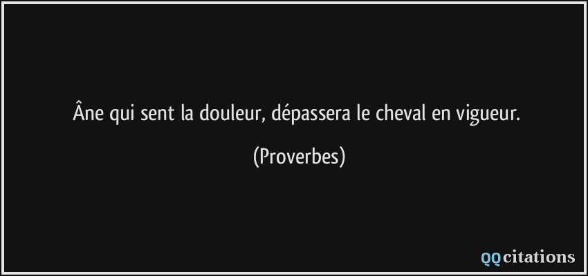 Âne qui sent la douleur, dépassera le cheval en vigueur.  - Proverbes