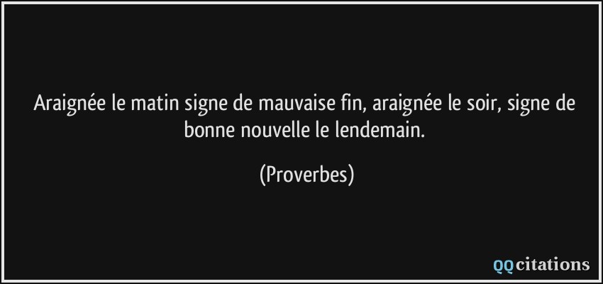 Araignée le matin signe de mauvaise fin, araignée le soir, signe de bonne nouvelle le lendemain.  - Proverbes