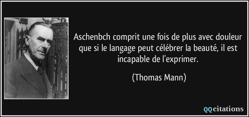 Aschenbch comprit une fois de plus avec douleur que si le langage peut célébrer la beauté, il est incapable de l'exprimer.  - Thomas Mann