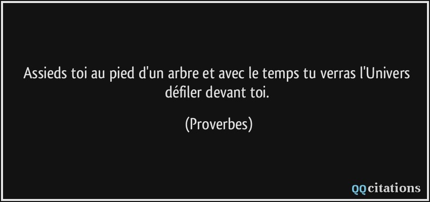 Assieds Toi Au Pied D Un Arbre Et Avec Le Temps Tu Verras L Univers Defiler Devant Toi