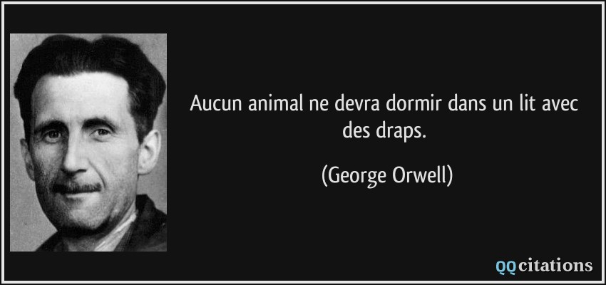 Aucun animal ne devra dormir dans un lit avec des draps.  - George Orwell