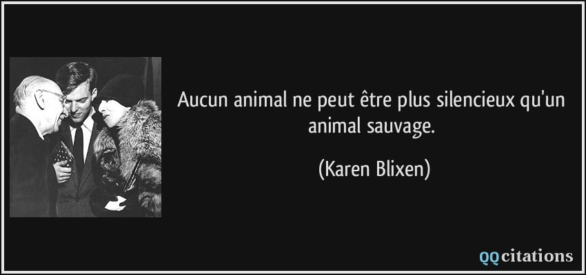 Aucun animal ne peut être plus silencieux qu'un animal sauvage.  - Karen Blixen