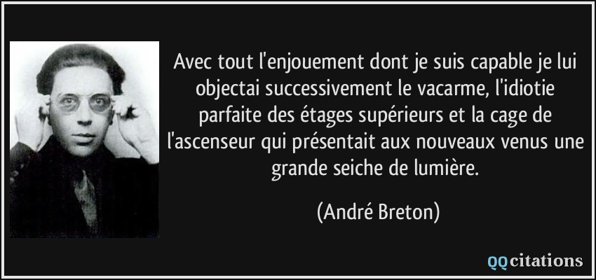 Avec tout l'enjouement dont je suis capable je lui objectai successivement le vacarme, l'idiotie parfaite des étages supérieurs et la cage de l'ascenseur qui présentait aux nouveaux venus une grande seiche de lumière.  - André Breton