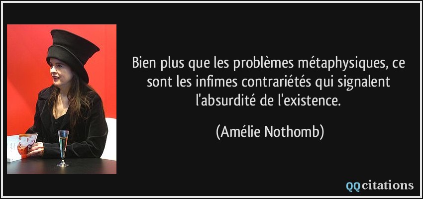 Bien plus que les problèmes métaphysiques, ce sont les infimes contrariétés qui signalent l'absurdité de l'existence.  - Amélie Nothomb