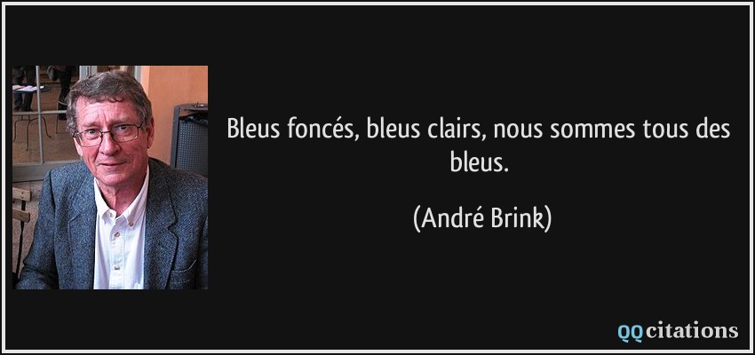Bleus foncés, bleus clairs, nous sommes tous des bleus.  - André Brink