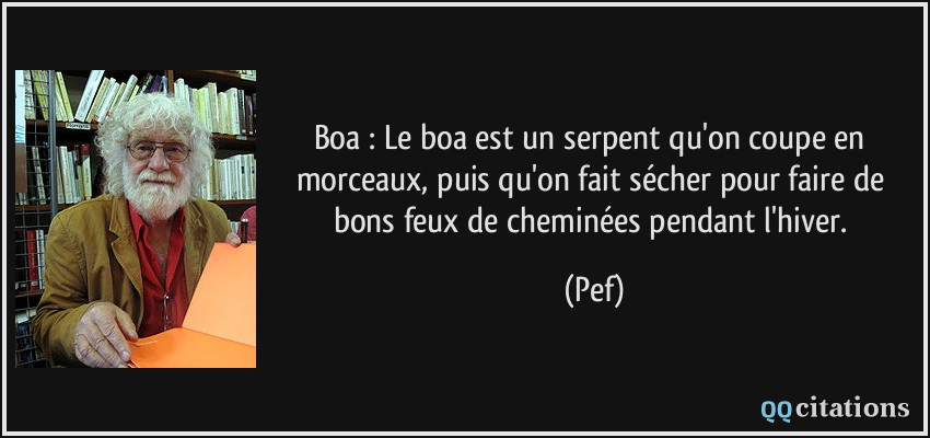 Boa : Le boa est un serpent qu'on coupe en morceaux, puis qu'on fait sécher pour faire de bons feux de cheminées pendant l'hiver.  - Pef