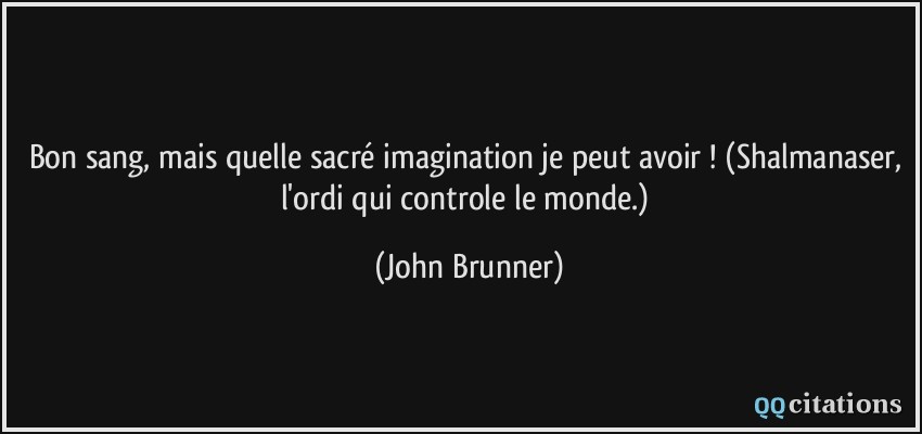 Bon sang, mais quelle sacré imagination je peut avoir ! (Shalmanaser, l'ordi qui controle le monde.)  - John Brunner