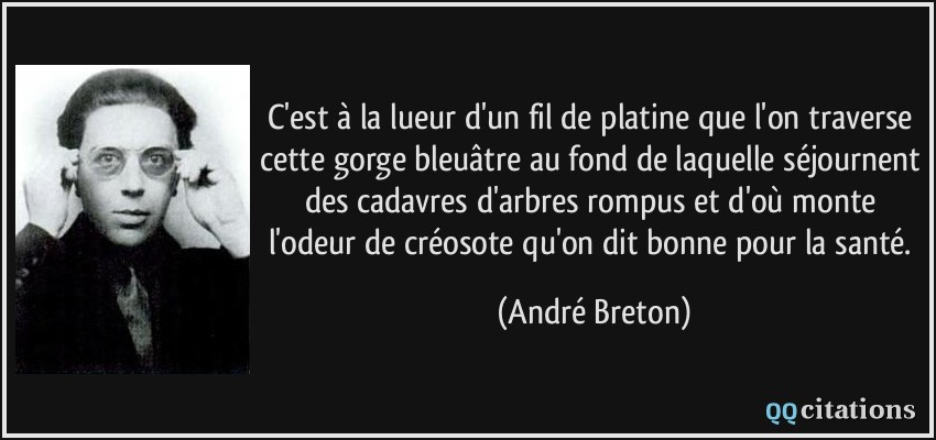 C'est à la lueur d'un fil de platine que l'on traverse cette gorge bleuâtre au fond de laquelle séjournent des cadavres d'arbres rompus et d'où monte l'odeur de créosote qu'on dit bonne pour la santé.  - André Breton