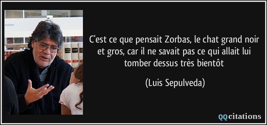 C'est ce que pensait Zorbas, le chat grand noir et gros, car il ne savait pas ce qui allait lui tomber dessus très bientôt  - Luis Sepulveda