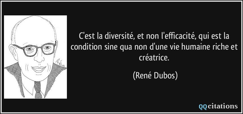 C'est la diversité, et non l'efficacité, qui est la condition sine qua non d'une vie humaine riche et créatrice.  - René Dubos