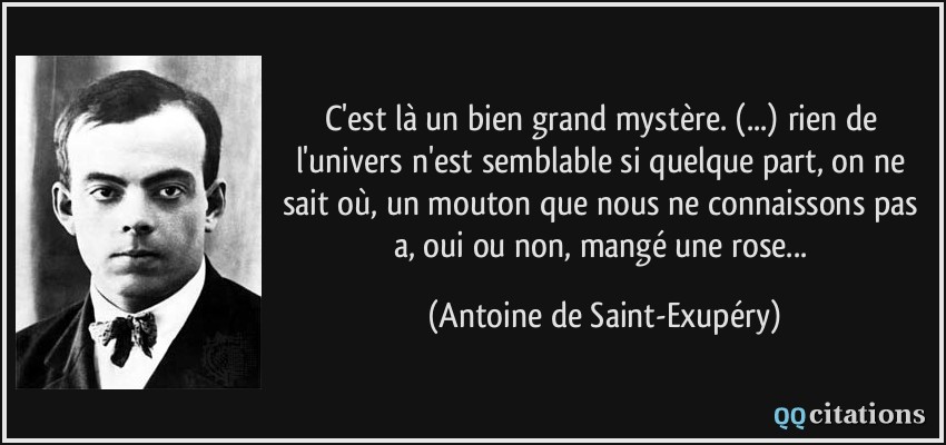 C'est là un bien grand mystère. (...) rien de l'univers n'est semblable si quelque part, on ne sait où, un mouton que nous ne connaissons pas a, oui ou non, mangé une rose...  - Antoine de Saint-Exupéry