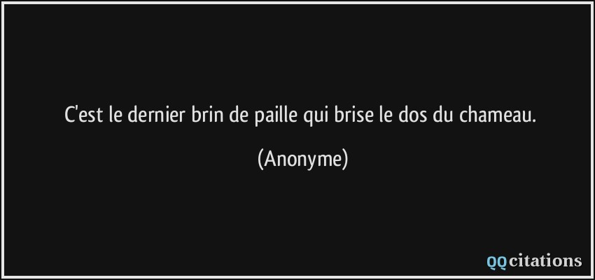 C'est le dernier brin de paille qui brise le dos du chameau.  - Anonyme