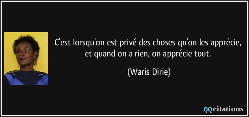 C'est lorsqu'on est privé des choses qu'on les apprécie, et quand on a rien, on apprécie tout.  - Waris Dirie