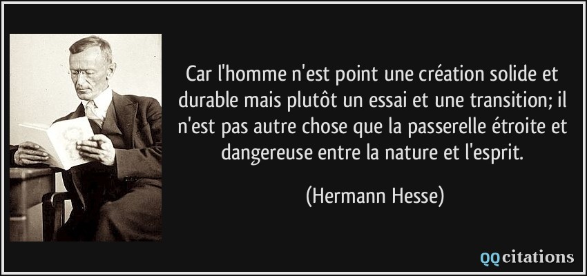 Car l'homme n'est point une création solide et durable mais plutôt un essai et une transition; il n'est pas autre chose que la passerelle étroite et dangereuse entre la nature et l'esprit.  - Hermann Hesse