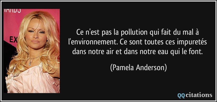 Ce n'est pas la pollution qui fait du mal à l'environnement. Ce sont toutes ces impuretés dans notre air et dans notre eau qui le font.  - Pamela Anderson