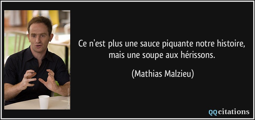 Ce n'est plus une sauce piquante notre histoire, mais une soupe aux hérissons.  - Mathias Malzieu