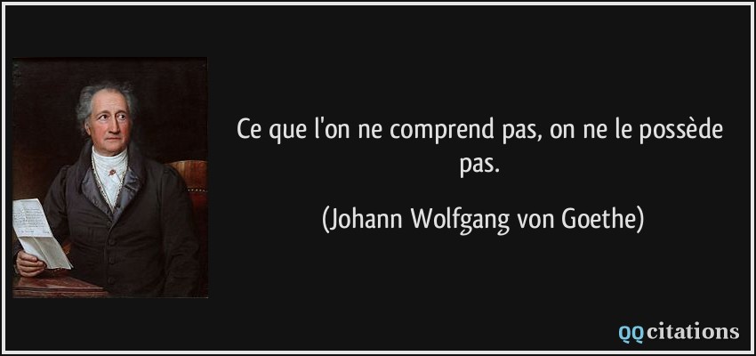 Ce que l'on ne comprend pas, on ne le possède pas.  - Johann Wolfgang von Goethe