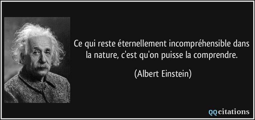 Ce qui reste éternellement incompréhensible dans la nature, c'est qu'on puisse la comprendre.  - Albert Einstein