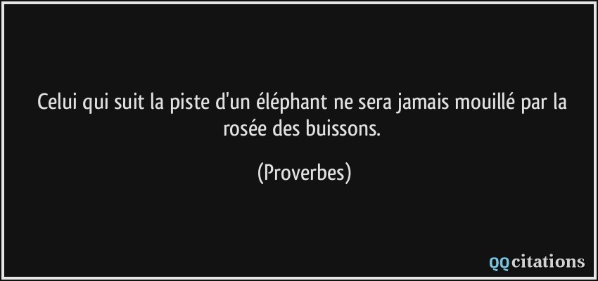 Celui qui suit la piste d'un éléphant ne sera jamais mouillé par la rosée des buissons.  - Proverbes