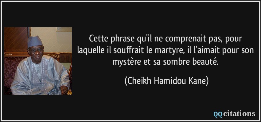 Cette phrase qu'il ne comprenait pas, pour laquelle il souffrait le martyre, il l'aimait pour son mystère et sa sombre beauté.  - Cheikh Hamidou Kane