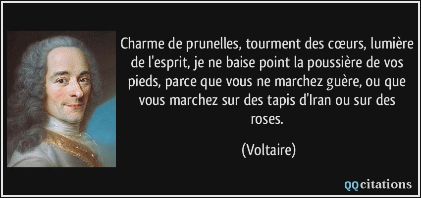 Charme de prunelles, tourment des cœurs, lumière de l'esprit, je ne baise point la poussière de vos pieds, parce que vous ne marchez guère, ou que vous marchez sur des tapis d'Iran ou sur des roses.  - Voltaire