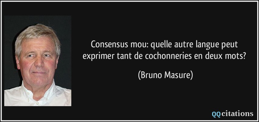 Consensus mou: quelle autre langue peut exprimer tant de cochonneries en deux mots?  - Bruno Masure