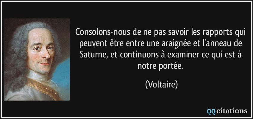 Consolons-nous de ne pas savoir les rapports qui peuvent être entre une araignée et l'anneau de Saturne, et continuons à examiner ce qui est à notre portée.  - Voltaire