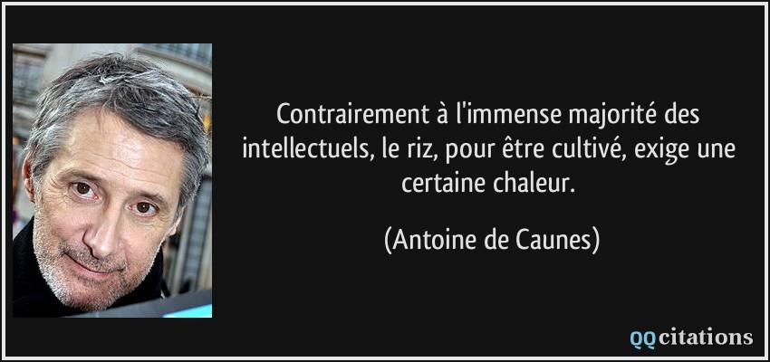 Contrairement à l'immense majorité des intellectuels, le riz, pour être cultivé, exige une certaine chaleur.  - Antoine de Caunes