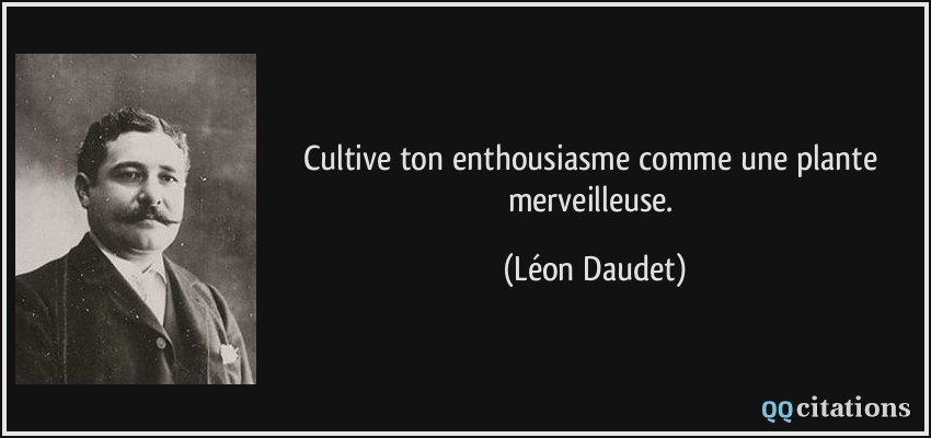 Cultive ton enthousiasme comme une plante merveilleuse.  - Léon Daudet