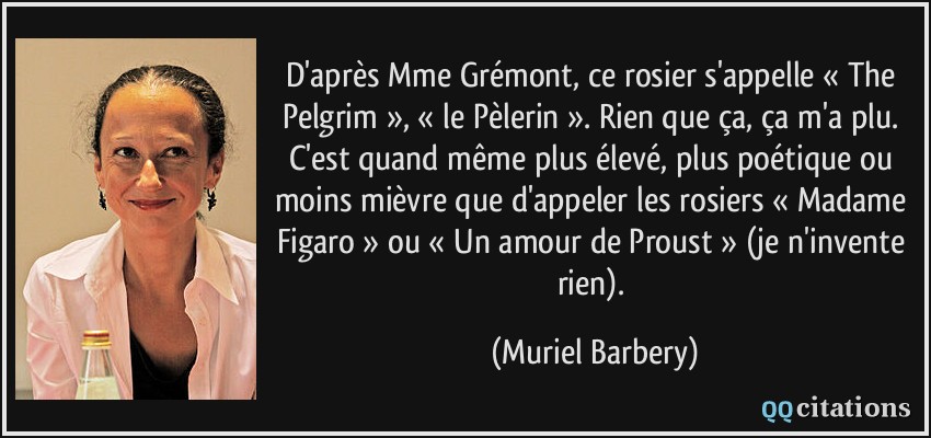 D'après Mme Grémont, ce rosier s'appelle « The Pelgrim », « le Pèlerin ». Rien que ça, ça m'a plu. C'est quand même plus élevé, plus poétique ou moins mièvre que d'appeler les rosiers « Madame Figaro » ou « Un amour de Proust » (je n'invente rien).  - Muriel Barbery