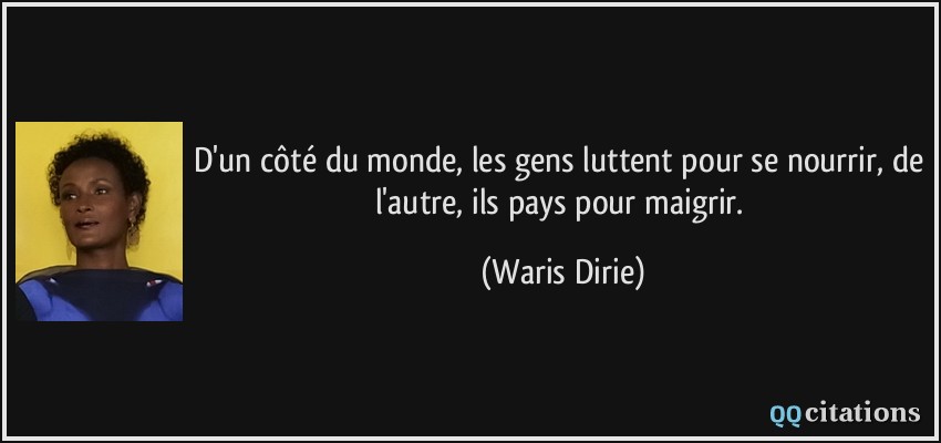 D'un côté du monde, les gens luttent pour se nourrir, de l'autre, ils pays pour maigrir.  - Waris Dirie