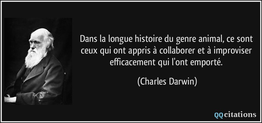 Dans la longue histoire du genre animal, ce sont ceux qui ont appris à collaborer et à improviser efficacement qui l'ont emporté.  - Charles Darwin