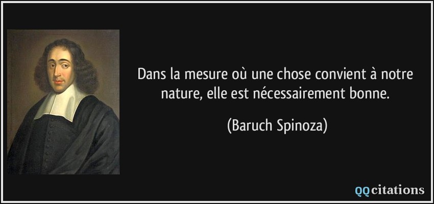 Dans la mesure où une chose convient à notre nature, elle est nécessairement bonne.  - Baruch Spinoza