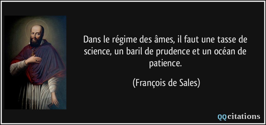 Dans le régime des âmes, il faut une tasse de science, un baril de prudence et un océan de patience.  - François de Sales