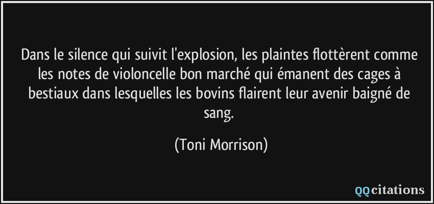 Dans le silence qui suivit l'explosion, les plaintes flottèrent comme les notes de violoncelle bon marché qui émanent des cages à bestiaux dans lesquelles les bovins flairent leur avenir baigné de sang.  - Toni Morrison