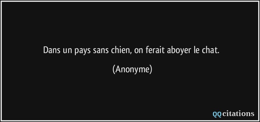 Dans un pays sans chien, on ferait aboyer le chat.  - Anonyme