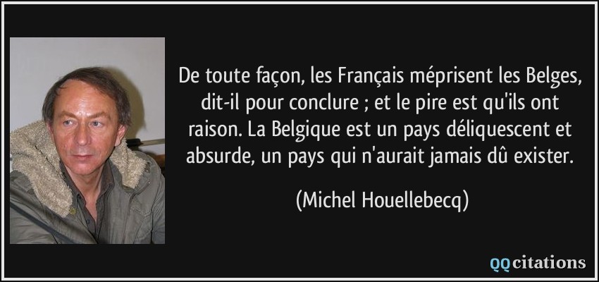 De toute façon, les Français méprisent les Belges, dit-il pour conclure ; et le pire est qu'ils ont raison. La Belgique est un pays déliquescent et absurde, un pays qui n'aurait jamais dû exister.  - Michel Houellebecq