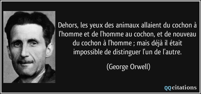 Dehors, les yeux des animaux allaient du cochon à l'homme et de l'homme au cochon, et de nouveau du cochon à l'homme ; mais déjà il était impossible de distinguer l'un de l'autre.  - George Orwell