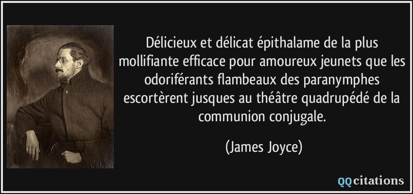 Délicieux et délicat épithalame de la plus mollifiante efficace pour amoureux jeunets que les odoriférants flambeaux des paranymphes escortèrent jusques au théâtre quadrupédé de la communion conjugale.  - James Joyce