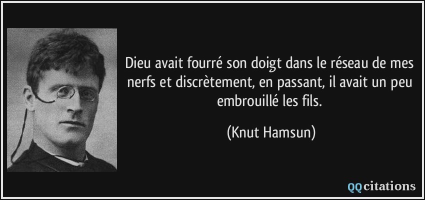 Dieu avait fourré son doigt dans le réseau de mes nerfs et discrètement, en passant, il avait un peu embrouillé les fils.  - Knut Hamsun