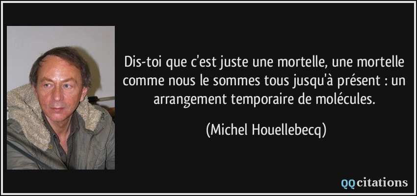 Dis-toi que c'est juste une mortelle, une mortelle comme nous le sommes tous jusqu'à présent : un arrangement temporaire de molécules.  - Michel Houellebecq