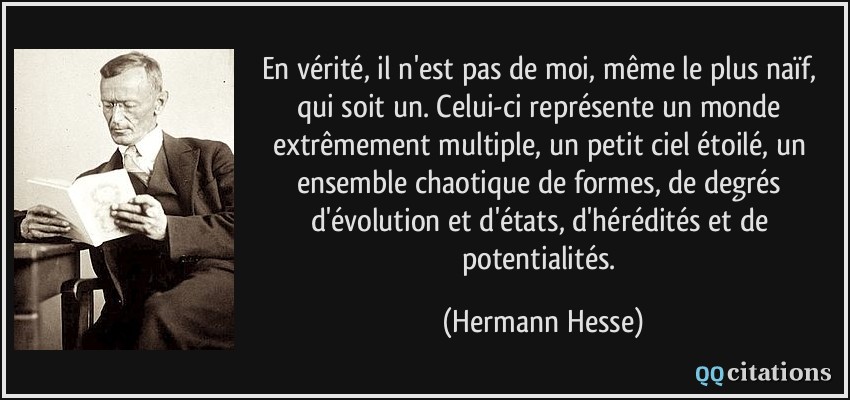 En vérité, il n'est pas de moi, même le plus naïf, qui soit un. Celui-ci représente un monde extrêmement multiple, un petit ciel étoilé, un ensemble chaotique de formes, de degrés d'évolution et d'états, d'hérédités et de potentialités.  - Hermann Hesse
