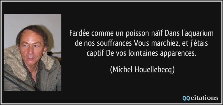 Fardée comme un poisson naïf / Dans l'aquarium de nos souffrances / Vous marchiez, et j'étais captif / De vos lointaines apparences.  - Michel Houellebecq