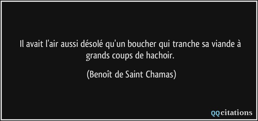 Il avait l'air aussi désolé qu'un boucher qui tranche sa viande à grands coups de hachoir.  - Benoît de Saint Chamas