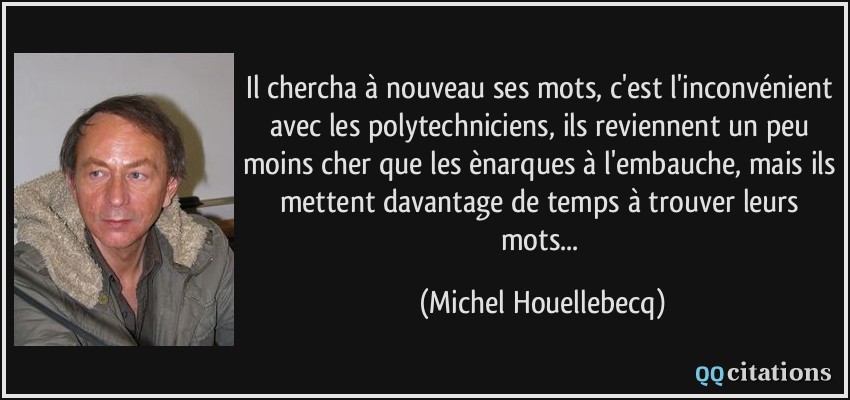 Il chercha à nouveau ses mots, c'est l'inconvénient avec les polytechniciens, ils reviennent un peu moins cher que les ènarques à l'embauche, mais ils mettent davantage de temps à trouver leurs mots...  - Michel Houellebecq