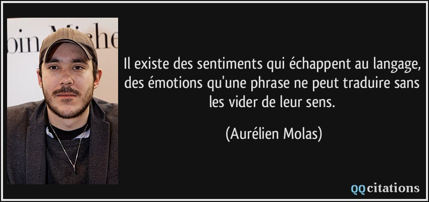 Il existe des sentiments qui échappent au langage, des émotions qu'une phrase ne peut traduire sans les vider de leur sens.  - Aurélien Molas